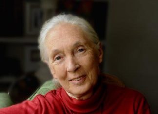 jane Goodall