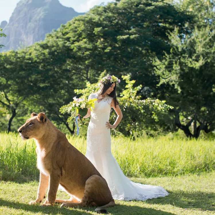 From Shell to Crown: Awakening the Lioness Within with Wild Wisdom Awakening